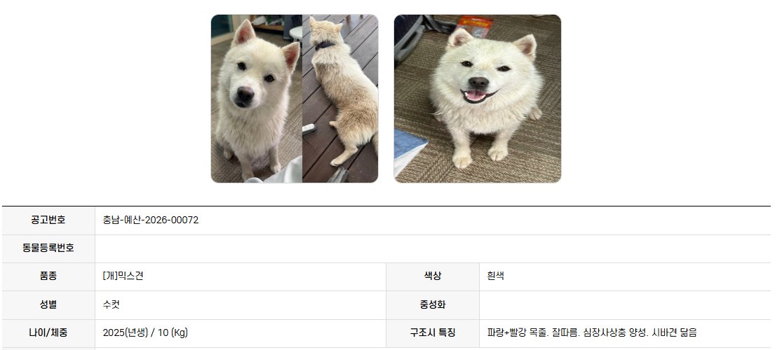 findmypaw's tweet photo. 웃는게 너무 예쁘고 사람을 잘 따르는 아이
심장사상충 양성이에요
초기에 병원에 간다면 치료 어렵지 않습니다. 사상충 양성일수록 빠르게 진료를 받아야해요...
극복할수있는 병임에도 불구하고 양성이라는 이유로 외면받지 않길

신중한 입양 문의 부탁합니다
충남 예산시보호소 041-339-7838 https://t.co/R4nrDob8OC