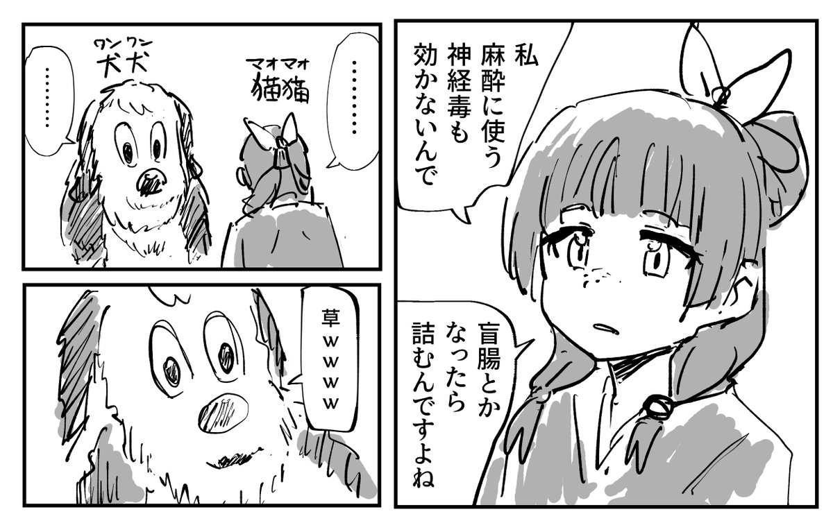 tenten tweet media
