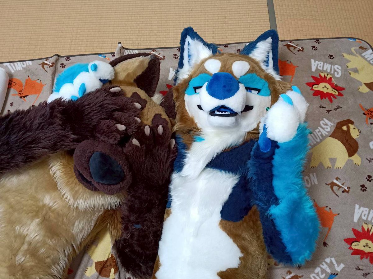 ruga_reo's tweet photo. いわゆる・・
昭和的な事後感😅

#FursuitsFriday https://t.co/vvF23phI88