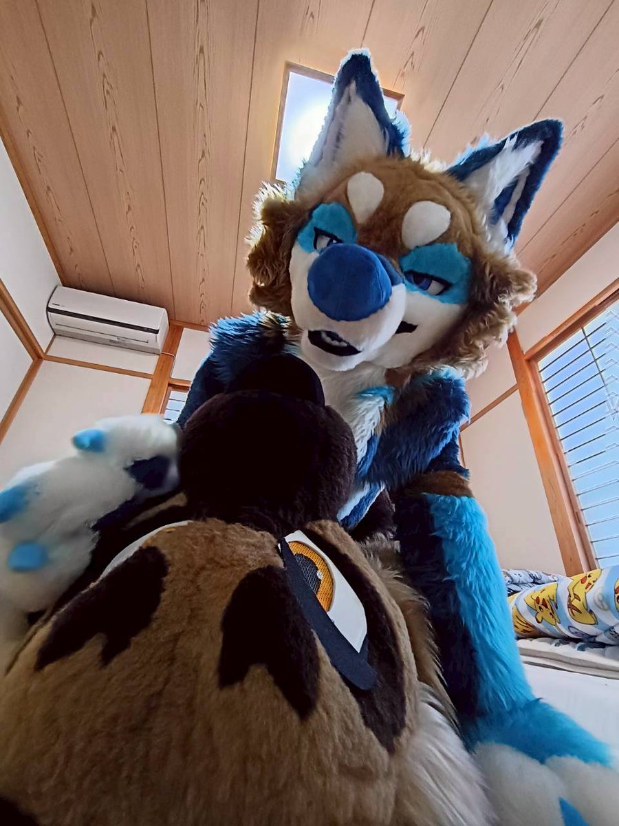 ruga_reo's tweet photo. いわゆる・・
昭和的な事後感😅

#FursuitsFriday https://t.co/vvF23phI88