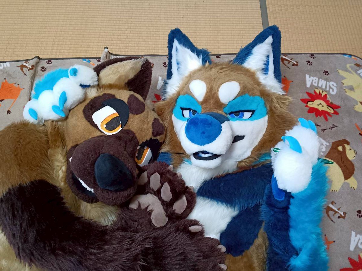 ruga_reo's tweet photo. いわゆる・・
昭和的な事後感😅

#FursuitsFriday https://t.co/vvF23phI88