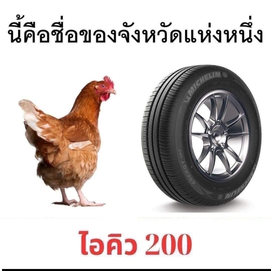 ช่างแม่ง🐰🏳️‍🌈 tweet media