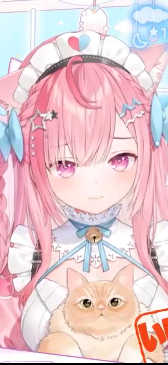とろろこんにゃく🎀🐾⚓️ tweet media