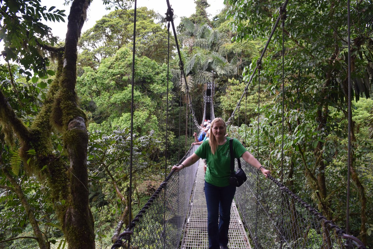GERiLAB12's tweet photo. Místico Bridges in La Fortuna. Walking among the treetops surrounded by lush rainforest magic—where nature feels truly otherworldly. A perfect blend of adventure and serenity in one unforgettable place https://t.co/7GXvNZHTLr