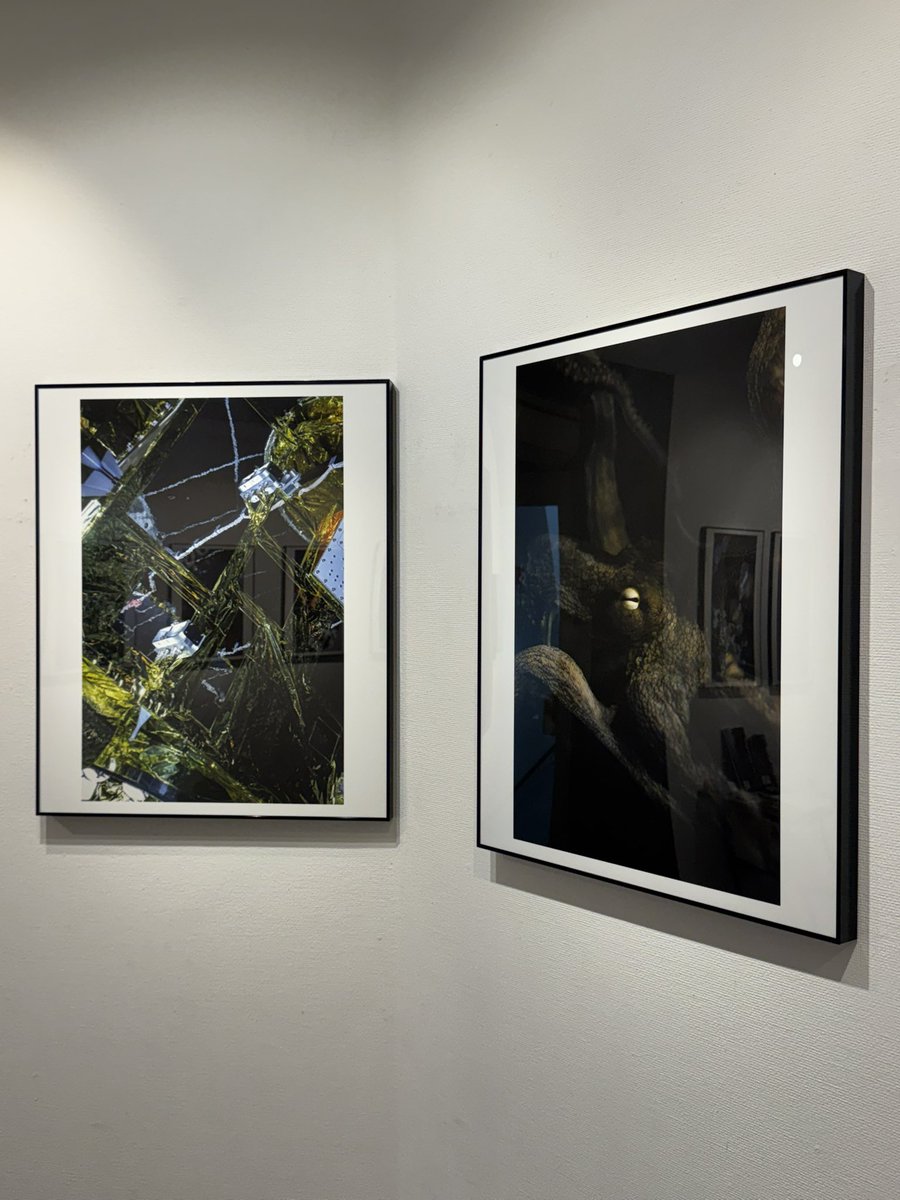 浜田泰介［5/19-31 写真展『polkadot』］ tweet media