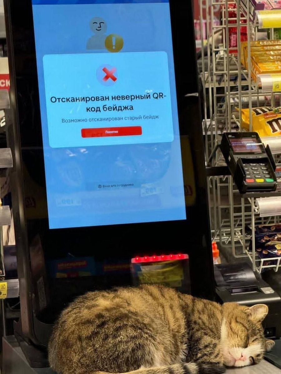 Стена говорит tweet media
