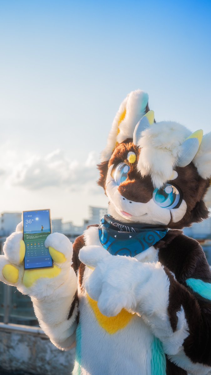 牵比绒Kibi tweet media