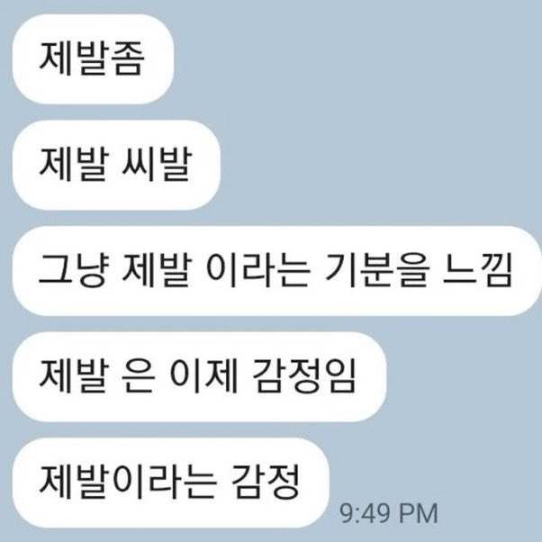 백구 tweet media