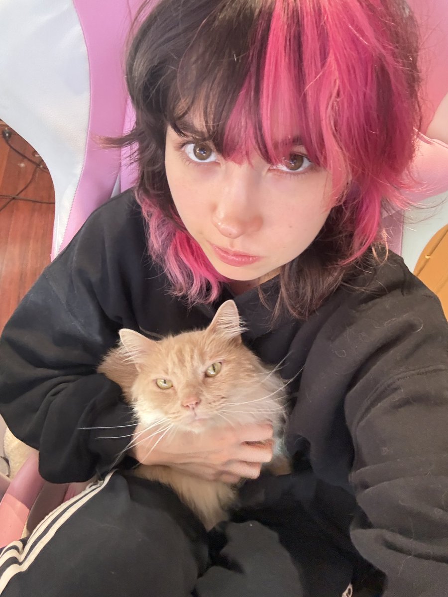 yuki tweet media