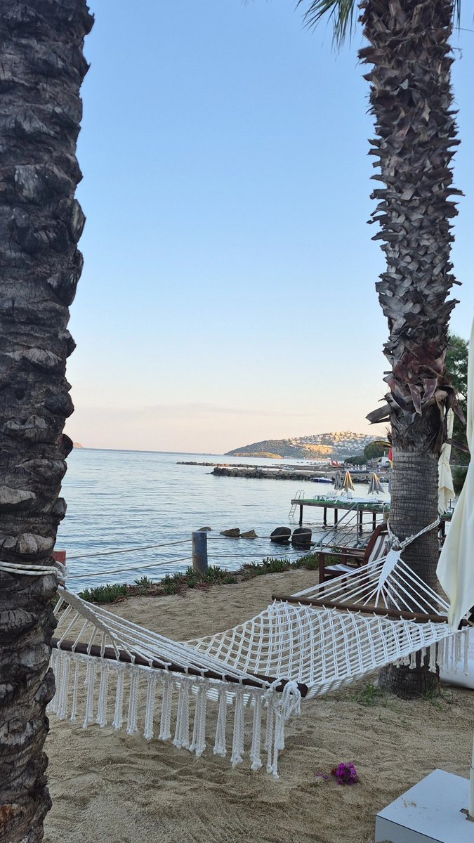 hasnuysl22's tweet photo. Şöyle bir sabaha #bodrum https://t.co/7G0gQ1y3Hr