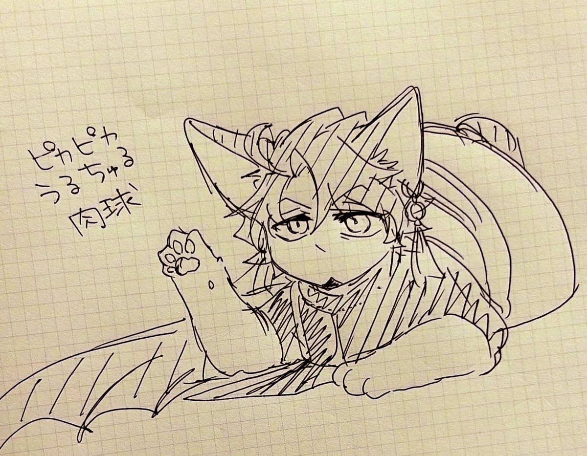 🐾 