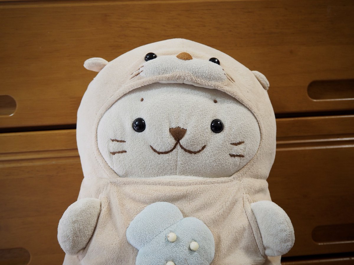 YuKK_A_Go_Go's tweet photo. 我が家のらっこたん🦭今日は久しぶりのお出かけ♪
数年前から立ってる耳🦦ずっと縫い直そうと思っていたけど、これはこれで可愛いからずっとそのままにしています😊
今度洗濯するときに🪡縫い直そうかな。 #しろたん https://t.co/5yOqGiLR3n