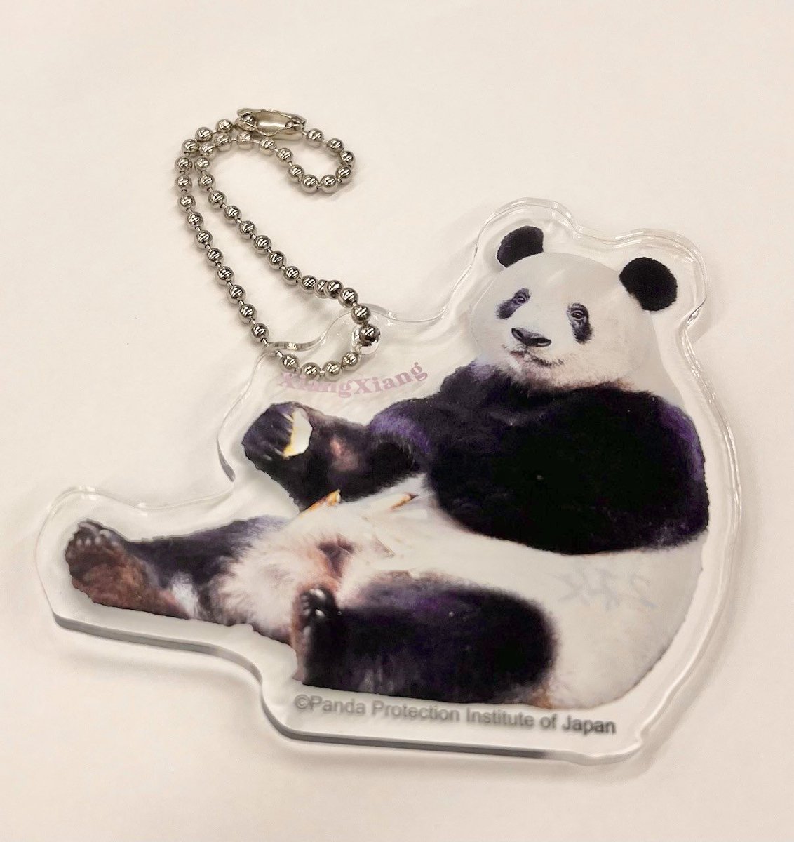╭━━━━━━━━━━━╮ 🐼新商品のお知らせ🐼 ╰━━━━━v
