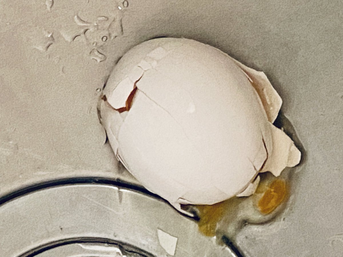 kuroneko_bar's tweet photo. ゆで卵作りに穴あけようしたら、
力み過ぎたのか🥚割れちった
貴重なタンパク源がぁ😱 https://t.co/c1yFwSuRTx