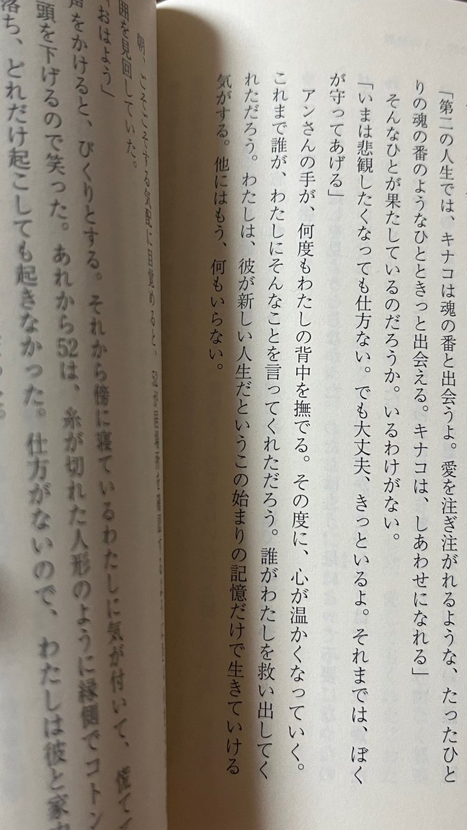 瑚 tweet media