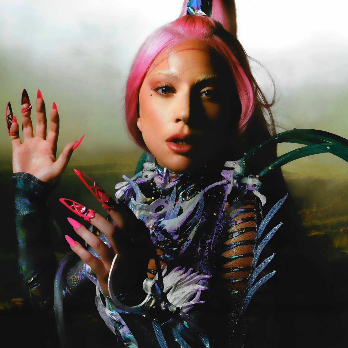 Lady Gaga Source tweet media