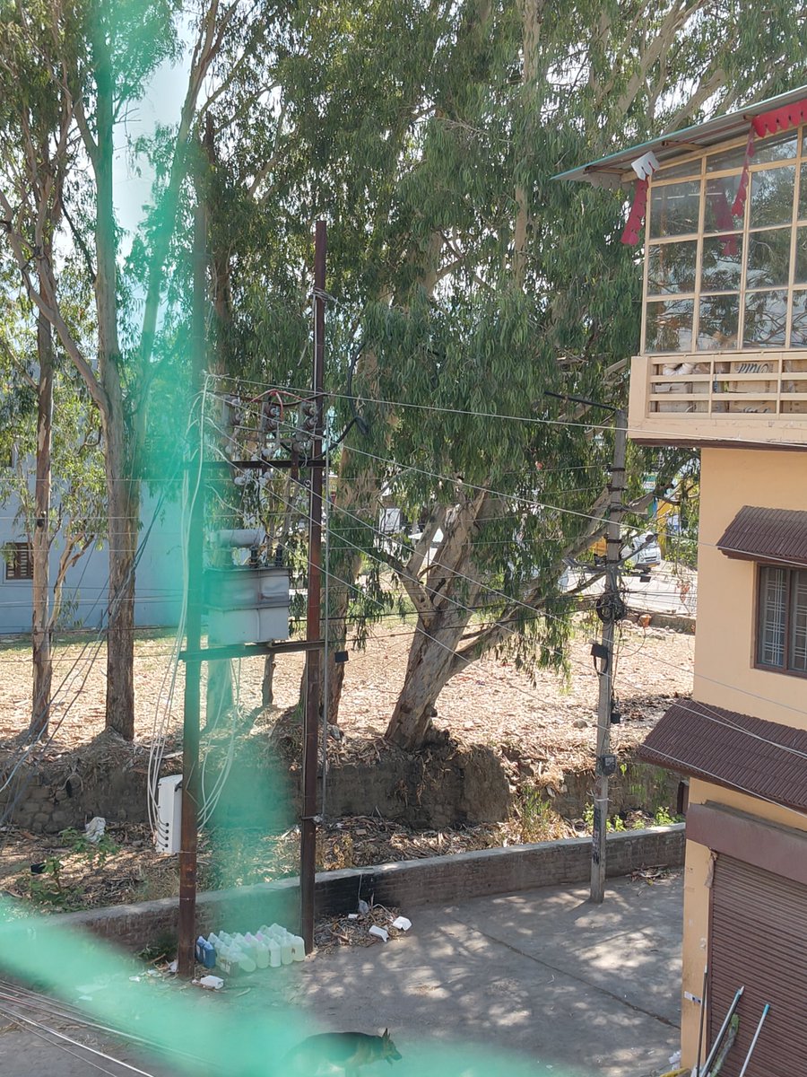 ma_vasu's tweet photo. @ias_rawat @DmNainital @HaldwaniNigam Raksiya nala location Rewa Enclave Chandan vihar Bithoria 1 needs cleaning,repair, before rain,2tall trees dangerously looming over transformer and building need cutting down please help https://t.co/WeVj4XmXVJ