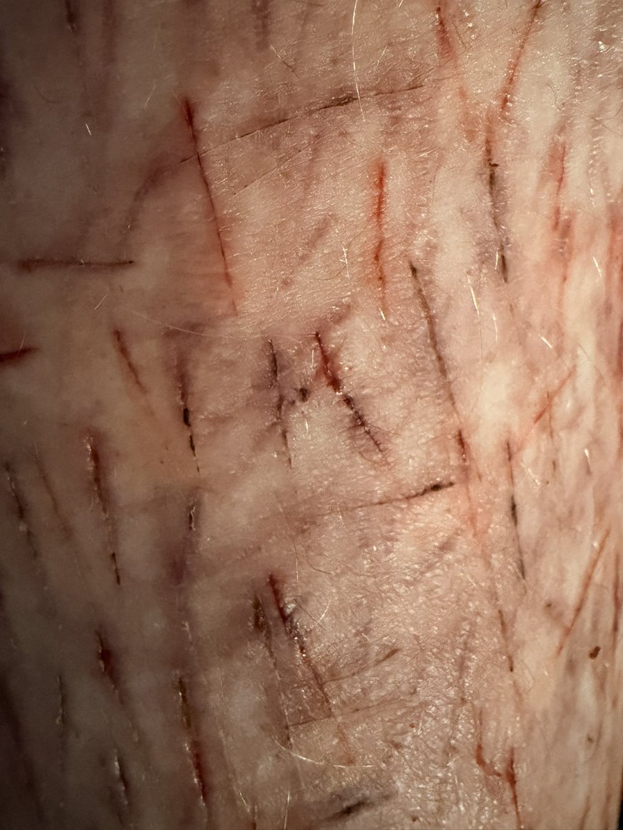 augustuffz's tweet photo. After showering!!! https://t.co/TjOvYXuL7M