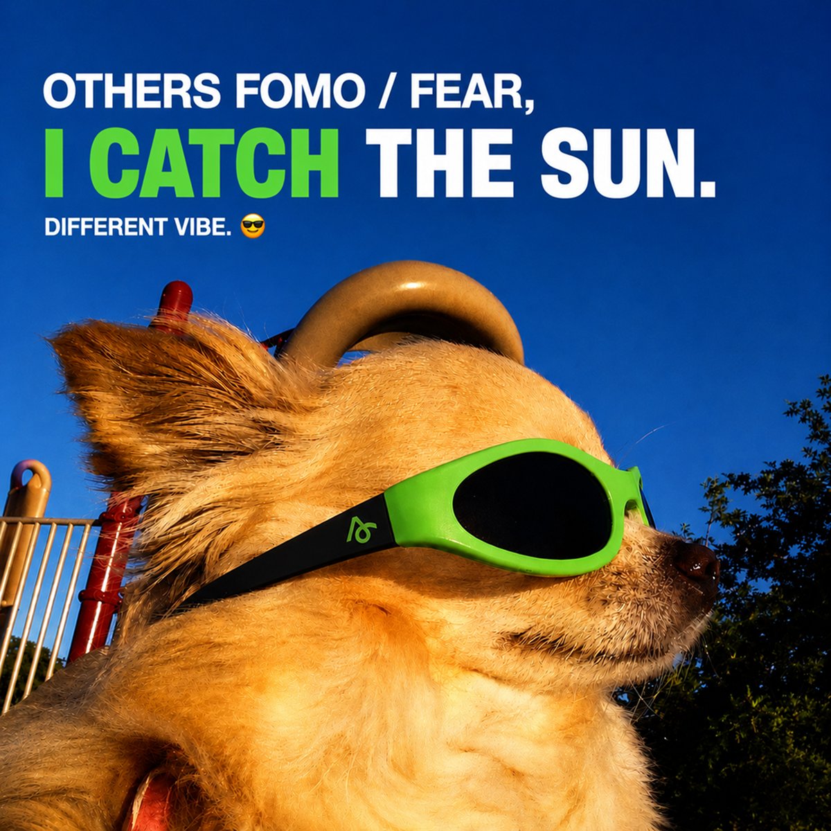 AlphioAI's tweet photo. Stocks Market full of FOMO?
I’ll let Alphio AI do the thinking 😎 https://t.co/lbtcdIuHNs