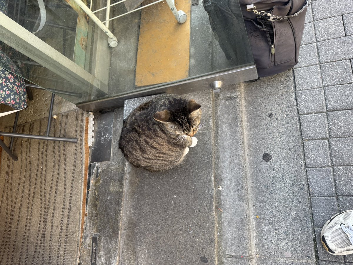 ut0824's tweet photo. 会社の近くに。 https://t.co/FwyrIxBhkb