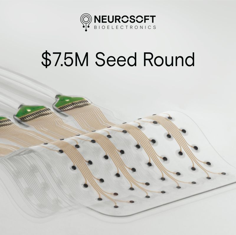 eigencoffee's tweet photo. 2026年5月20日、Neurosoft Bioelectronicsがsoft / stretchable electrodeを用いたBCIの開発に向けて、$7.5MのSeed調達を発表しました。BCIの競争軸は、デコーディング精度の向上だけにとどまらず、神経組織と電子デバイスをいかに長期に共存させるかというインターフェース設計へと広がりつつあります。

同社が狙っているのは、脳表に広くアクセスしながら、脳組織を貫通しない形で神経信号を取得するアプローチです。侵襲型BCIでは、しばしば「どれだけ高品質な信号を取得できるか」「どれだけ高精度にデコードできるか」が注目されます。もちろんそれらは中核的な技術課題ですが、医療機器として社会実装するうえでは、長期安定性、組織への影響、手術手技、量産性、滅菌・製造品質、規制対応といった要素が同じくらい重要になります。

Neurosoftはすでに10人の患者で試験されており、GMP製造ライン、ISO 13485、FDA pre-sub meetingまで進めているとされています。この点は重要で、BCIの事業化における本質的な難しさは、優れた研究成果を「実際に作れ、埋め込め、長期に使い続けられる医療機器」へと変換する部分にあります。

近年のBCI各社を見ていると、Neuralinkは高密度電極とロボット手術、Precisionは表面型高密度アレイ、Synchronは血管内アプローチ、CorTecはclosed-loop neurotherapy、Neurosoftはsoft / stretchable interfaceというように、侵襲度、信号品質、長期安定性に対する設計思想が分岐してきているようです。

ソース
https://t.co/NEGr0BwSVO
