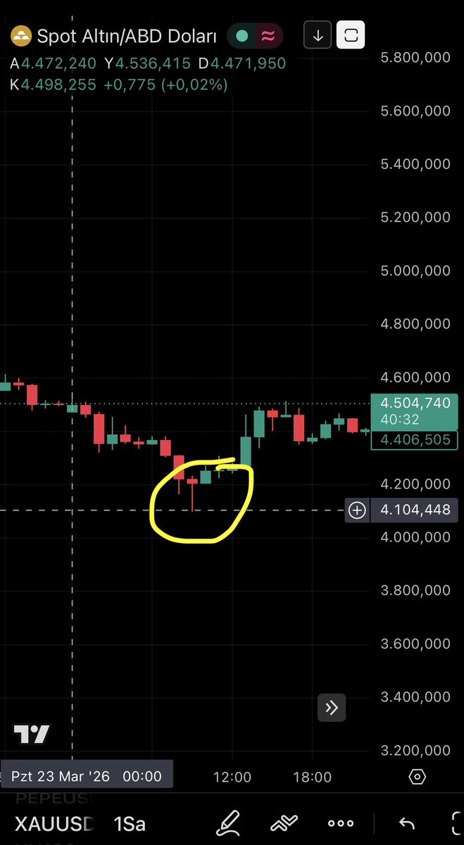 Kripto Capris tweet media