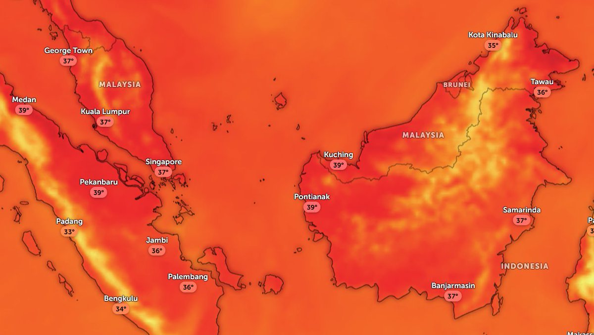 ShamaaKoussa's tweet photo. this is the result 🥵🥵🤣🤣 https://t.co/K1IPjtJdAq