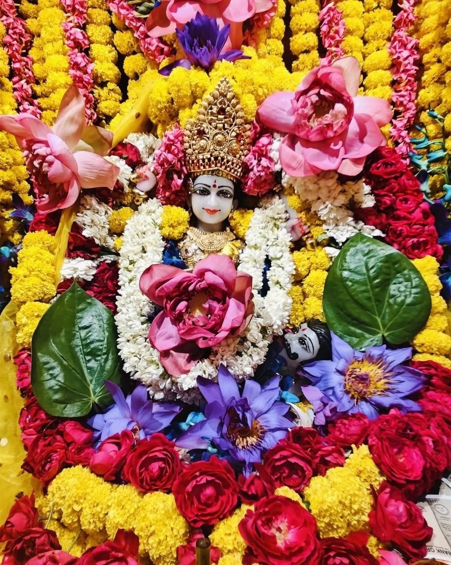 Maa BaglaMukhi Mandir tweet media
