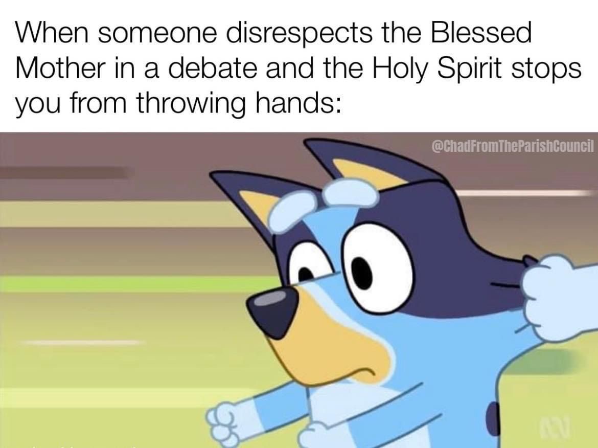That Catholic Guy 🇻🇦 tweet media