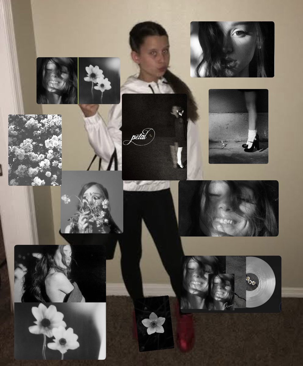 JoseRov333's tweet photo. #petal #petalarianagrande #Arianators #arianagrande #hatethatimadeyouloveme https://t.co/4v7jlBhNBc