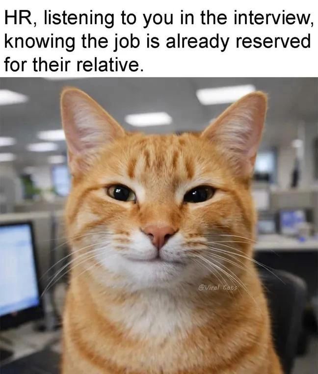 AnisCodex's tweet photo. Spent 3 days preparing.
Solved every technical question.
Explained system design flawlessly.

Meanwhile the job:

"Thanks for your time. We've decided to move forward with another candidate." 😂

#JobSearch #InterviewHumor #TechTwitter #Developers #CareerGrowth https://t.co/ix0zHmb1N3