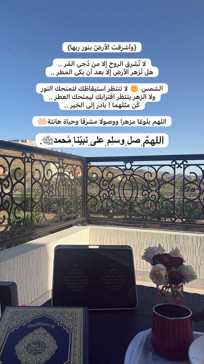 ام رُبا tweet media