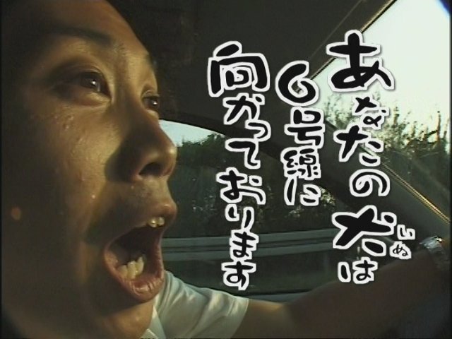 GStone108's tweet photo. あああああドンナ様ㅎvㅎ、あなたの犬は６号線に乗って只今迎えに参ります！ https://t.co/AHPzkvN7VT