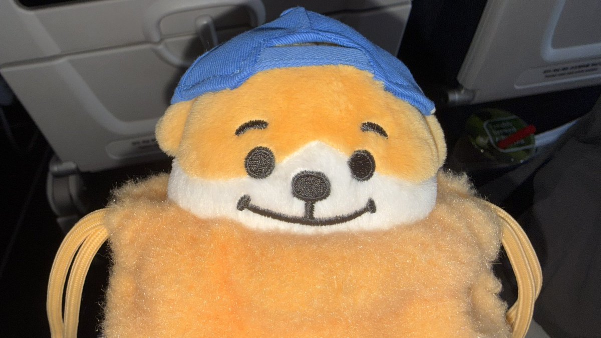 ssixro's tweet photo. 너무 귀여워서 
하루종일 쓰담쓰담 햐주고파😭 https://t.co/AIM4LNyfTu