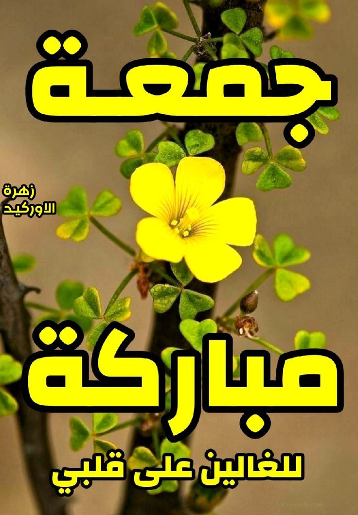 HaythamNaem4's tweet photo. https://t.co/LBcLnC4qNd