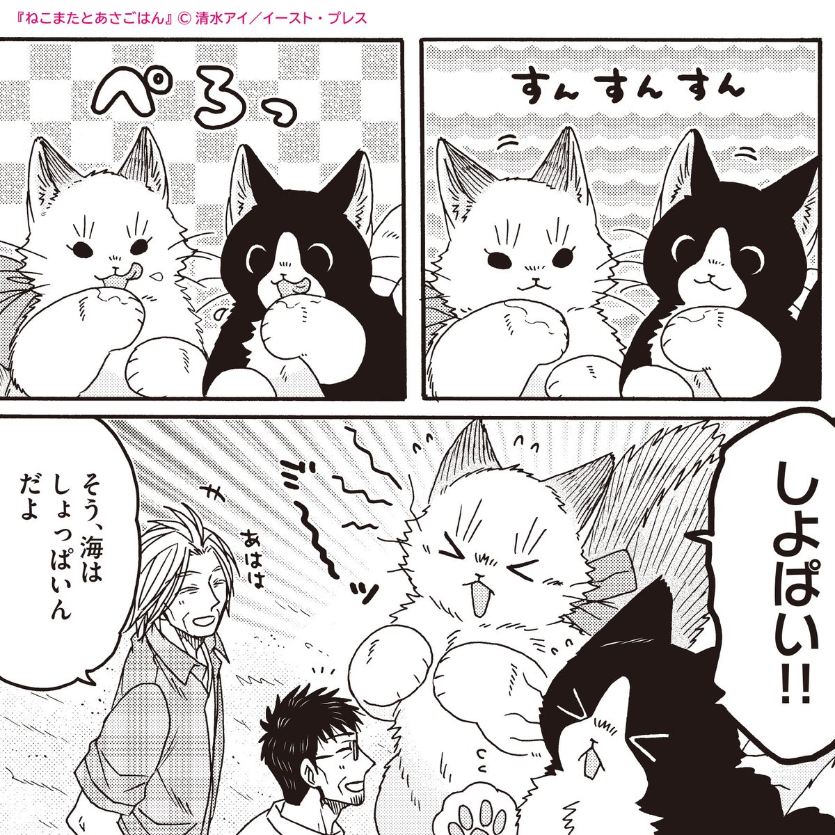 comic_porta's tweet photo. ＼🐱最新話公開中🐱／

『#ねこまたとあさごはん』
著：清水アイ(@aiai_shim)

▶️最新話「うみ」はこちら！
https://t.co/4BcilrjbZQ

はじめてがたくさんだね🌊

📢次回は6月12日更新予定📌

✅単行本第５巻、予約受付中🍚
https://t.co/C9GVQB5SsR https://t.co/H0QzGwyb8p