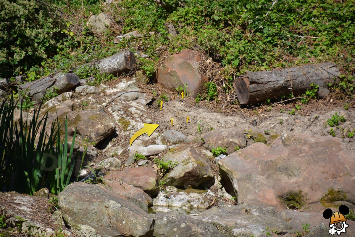 DLPWorks's tweet photo. [Analysis] 🚧 Latest update on the new Frontierland figures addition!

➡️ The area around the waterfall, just opposite Old Joe's cabin, has recently been cleared. 
➖ Yellow stakes have been placed in 3 locations (likely for does).
➡️ The new scenes are expected to be installed by the end of summer, as announced by #DisneylandParis.