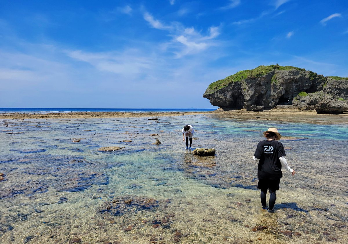 mabucamp's tweet photo. GW で帰省した娘たちとの
無人島🏝️デイキャンプ、
大切な時間を
共に過ごすことができて
良かった｡😊
#5月のキャンプを写真4枚で振り返る
#無人島キャンプ https://t.co/yeDj1Y00VS