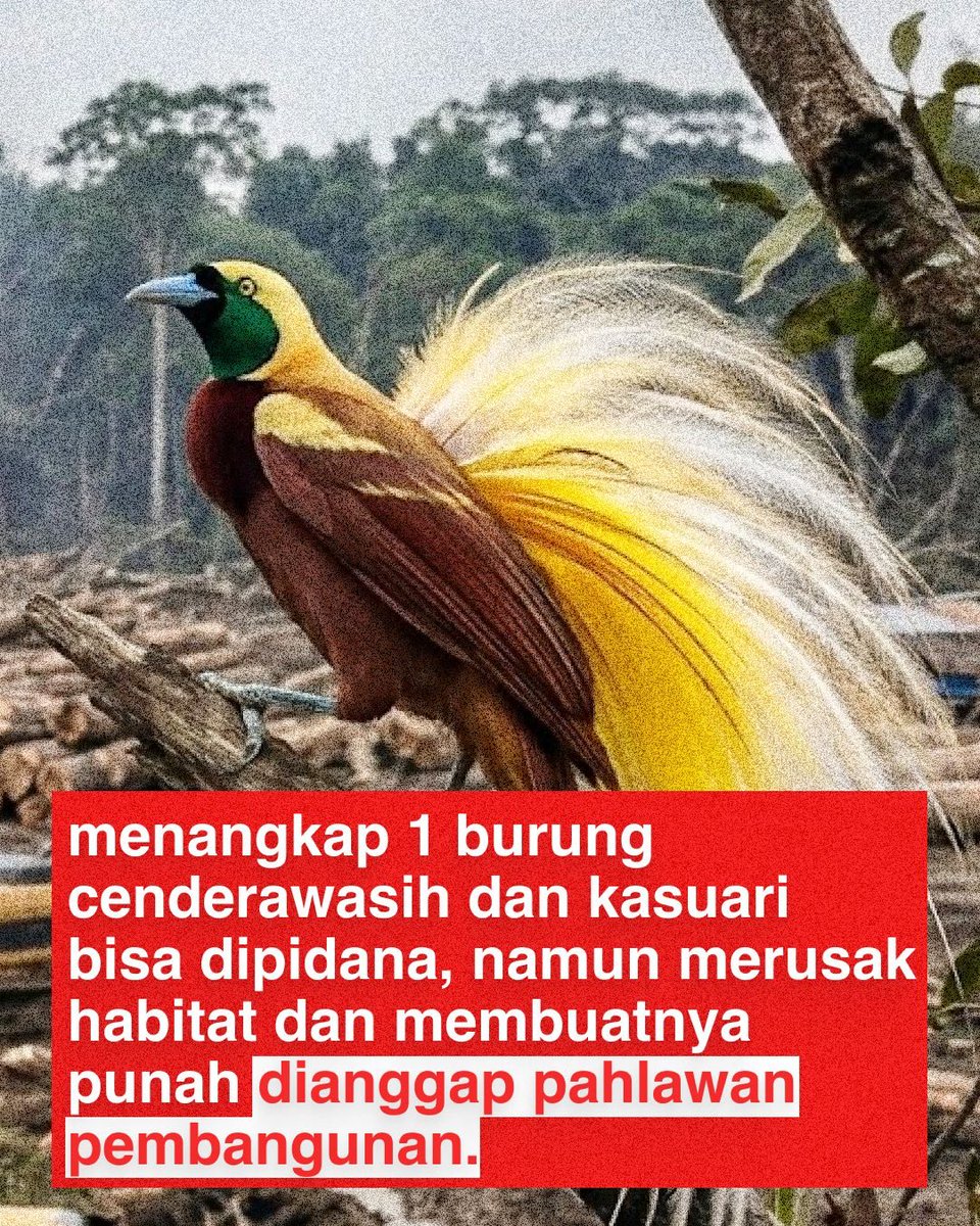 Ken Hans tweet media