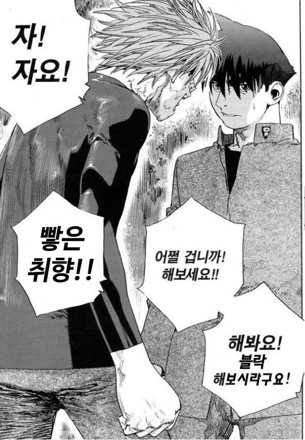 레정자 tweet media