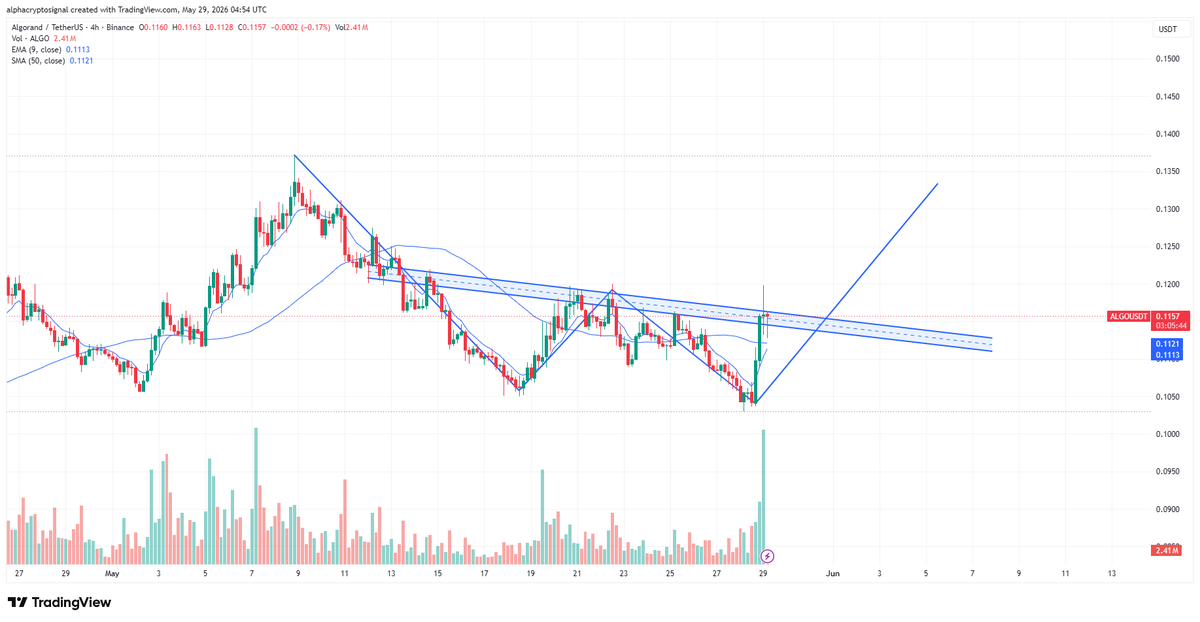 Alpha Crypto Signal tweet media