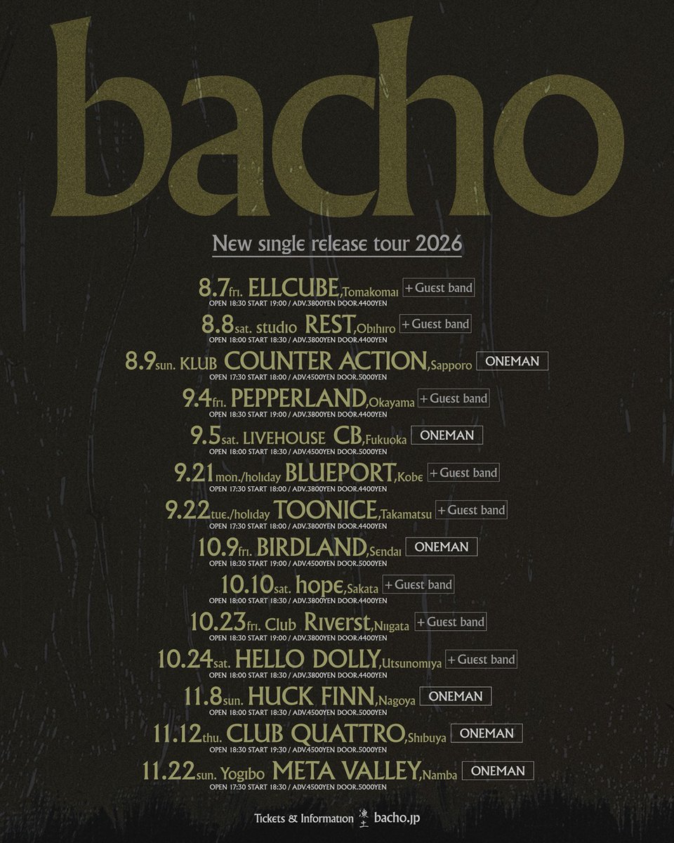 bacho tweet media