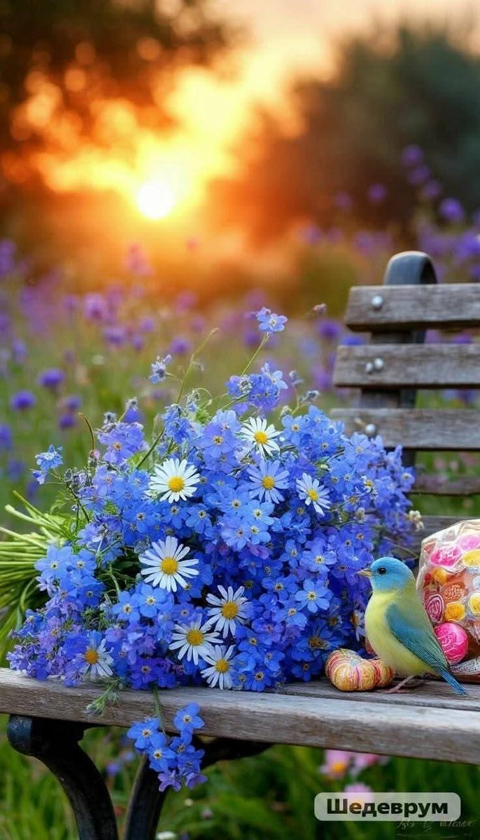 🪷🌻Elisabeth🌻🪷 tweet media