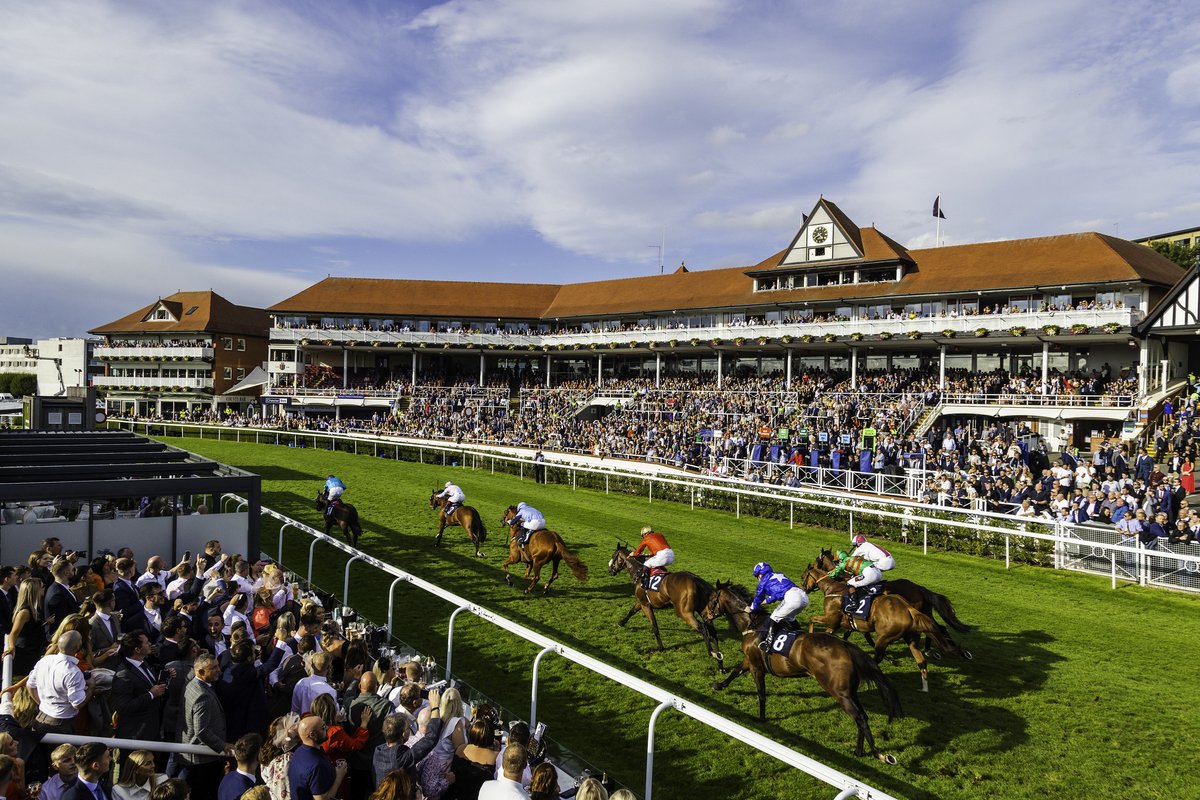 ChesterRaces's tweet photo. ONE SLEEP🏇

Get ready for a Saturday packed with live racing, entertainment and the ultimate day out for all ages. From gladiators and stunt shows to great food, drinks and sunshine, there’s something for everyone to enjoy.☀️

Kids go FREE.🎟️

Tickets available on the gate. https://t.co/HTMvptbXHf