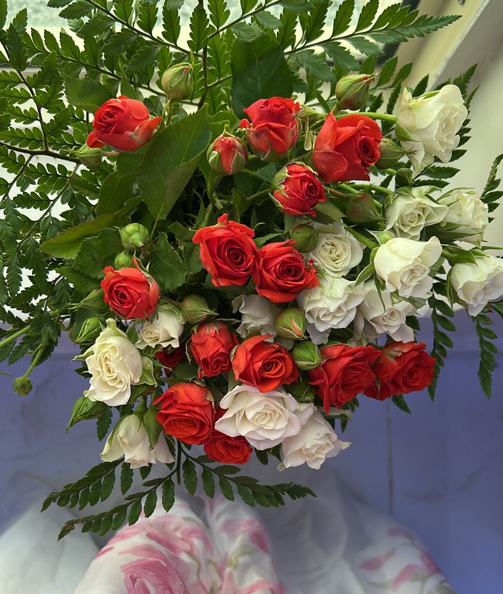 llip59's tweet photo. معك أدركت ما معنى الغرق 
مراراً وتكراراً
وأدركت ما معنى أن أحب شخصاً
واحداً مئة مرة https://t.co/PCstvuUUQF