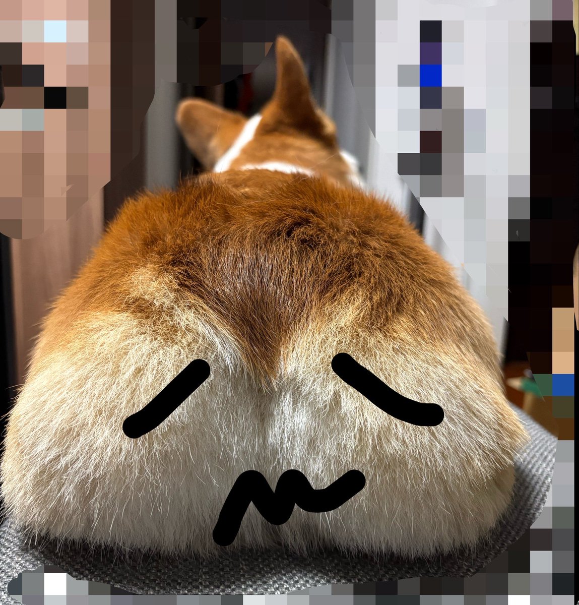 R2_question's tweet photo. @akiko_lawson ぴえん https://t.co/yPUA58fwiB