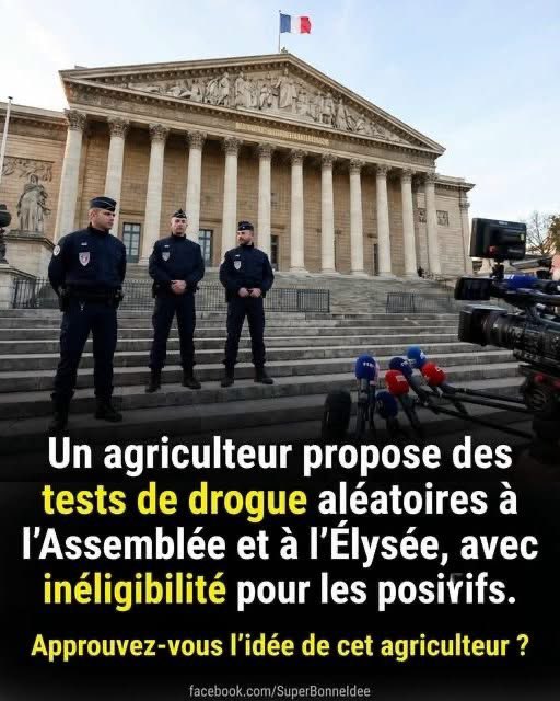 Les Patriotes 77 tweet media
