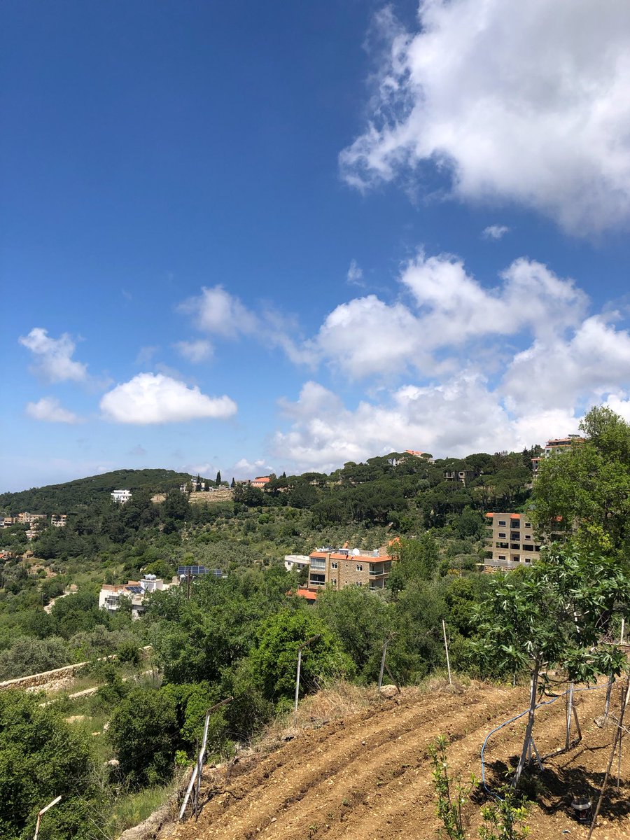 marie_nassar's tweet photo. Good morning X-Friends…🌷🍃☕️
Have a happy Friday and a beautiful weekend 🏘️🌳☀️💙🤍💚
My photo 📸

#FridayMorning 🌷 #CoffeeTime ☕️ #NatureBeauty 🌳 #WeekendVibes ☀️ #StayPositive 💙 #PeaceAndLove 🕊️ https://t.co/ZfJlMhrJhB