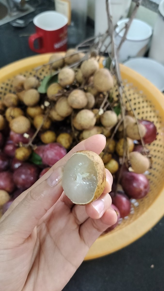DuongBui | Peony tweet media