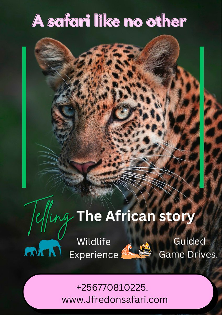 JfredTourist's tweet photo. For all the authentic wildlife experiences, boat Cruises, safari car hires & accommodation, I @JfredTourist got you covered in Queen Elizabeth Np Uganda, For the @RwenzoriMarathn runners, dm up for business & get reservations from me as early as now. @visitkasese #destinationug https://t.co/qulJNstht2